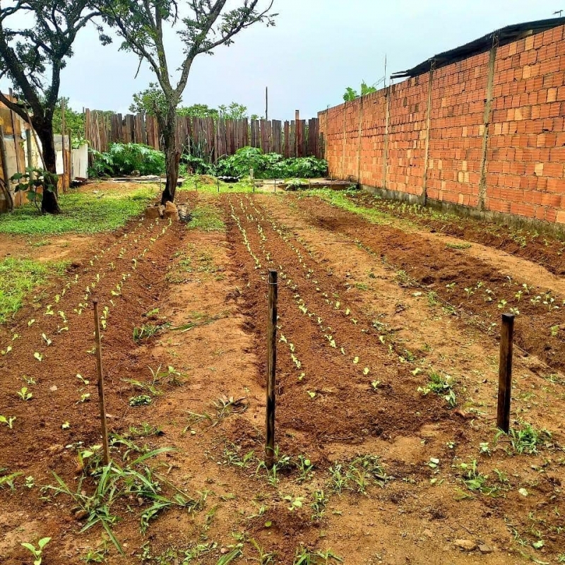 Horta comunitária idealizada pela Secretaria do Trabalho e Ação Social juntamente com projeto (A) colher, composto por alunos do curso de medicina, Agronomia e Engenharia Cívil do IMEPAC. O projeto foi implantado em uma comunidade carente com doação de insumos, mudas, suporte de irrigação e orientação para os moradores executarem o manejo de plantio e cuidados da horta e hoje a colheita é realizada com sucesso.