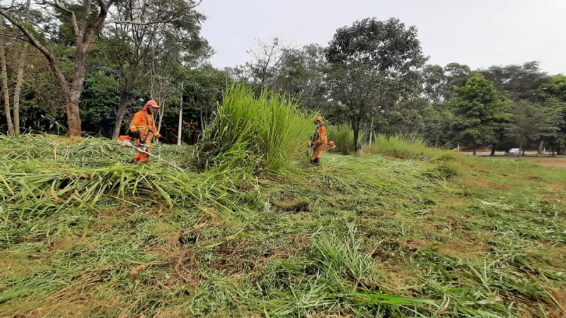 CAPINA, ROÇAGEM E RECOLHIMENTO DE RESÍDUOS continuou nesta sexta na Av. Teodoreto Veloso de Carvalho, uma das entradas da cidade.