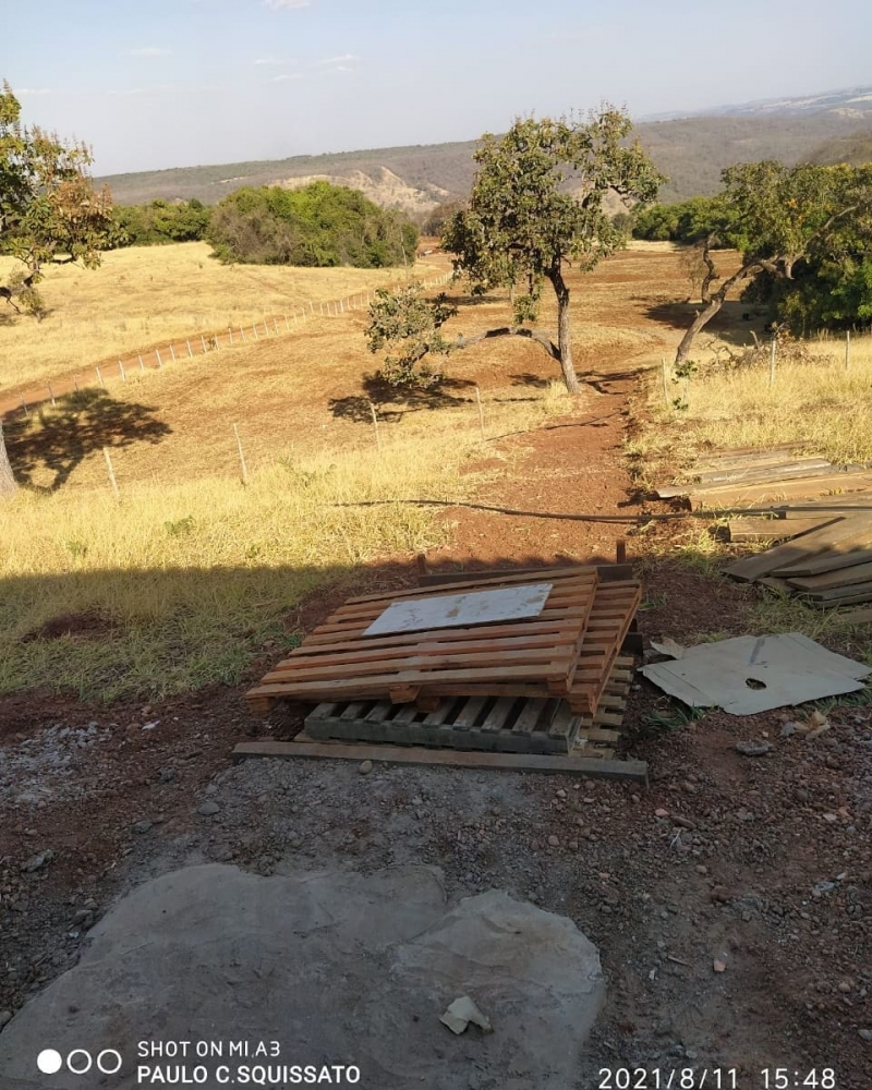 Sempre valorizando e apoiando o homem e a mulher do campo, a prefeitura de Araguari por intermédio da secretaria de Agricultura, está realizando um trabalho de aração  e  gradagem em propriedades rurais do Município.  De acordo com o prefeito de Araguari Renato Carvalho, os serviços estão sendo efetuados para facilitar a vida do homem do campo no processo de cultivo de terra para o plantio de diversos alimentos, “Estamos trabalhando em conjunto com os agricultores em prol do desenvolvimento rural do município”, ressaltou.  Fotos: secretaria de Agricultura