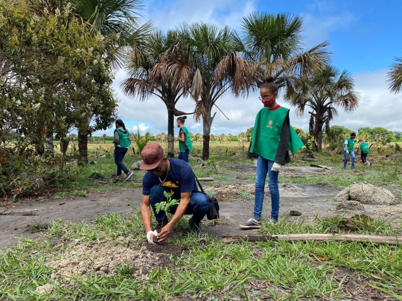 Em mais uma ação protegendo, preservando e recuperando o meio-ambiente, a prefeitura de Araguari efetuou o plantio de mais de 200 mudas na nascente da represa das Araras.