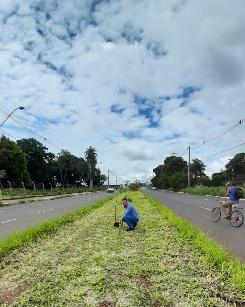 A prefeitura de Araguari por meio da secretaria de Meio Ambiente, realizou o plantio de mais de 140 mudas de árvores nas avenidas Brasil e Coronel Belchior de Godoy.