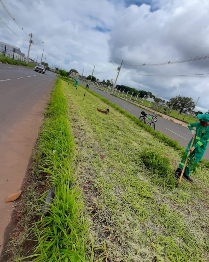 A prefeitura de Araguari por meio da secretaria de Meio Ambiente, realizou o plantio de mais de 140 mudas de árvores nas avenidas Brasil e Coronel Belchior de Godoy.