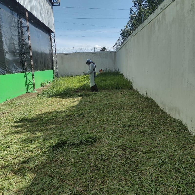 Serviço de roçagem no C.E.M. Neusa Rodrigues Teixeira.