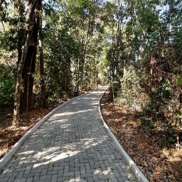 A Prefeitura de Araguari através da Secretaria de Meio Ambiente faz nesta semana, os ajustes finais para inauguração das obras de revitalização do Bosque John Kennedy. O espaço passou por reforma completa de piso, palco, casa verde, iluminação, parque infantil e com a construção de uma nova gruta que abrigará a imagem de Nossa Senhora Aparecida.