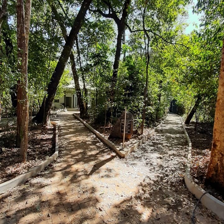 A Prefeitura de Araguari através da Secretaria de Meio Ambiente faz nesta semana, os ajustes finais para inauguração das obras de revitalização do Bosque John Kennedy. O espaço passou por reforma completa de piso, palco, casa verde, iluminação, parque infantil e com a construção de uma nova gruta que abrigará a imagem de Nossa Senhora Aparecida.