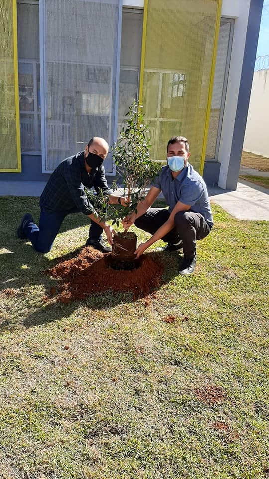 A Secretaria de Meio Ambiente em parceria com a Secretaria de Educação está desenvolvendo o projeto “Adote uma árvore”. O trabalho conjunto consiste no plantio de 97 árvores nas escolas e centros educacionais do município.