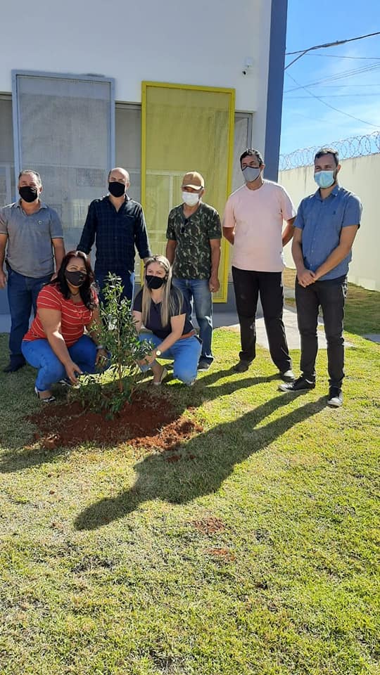 A Secretaria de Meio Ambiente em parceria com a Secretaria de Educação está desenvolvendo o projeto “Adote uma árvore”. O trabalho conjunto consiste no plantio de 97 árvores nas escolas e centros educacionais do município.