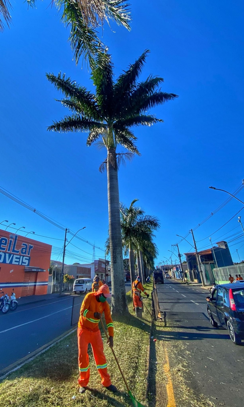 CAPINA, ROÇAGEM  começa a todo vapor  nesta segunda - feira na Av. Bahia, uma das ruas mais importantes da cidade.