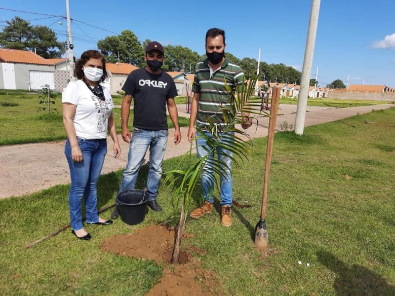 Na manhã do último sábado(20), o prefeito Renato Carvalho, a vice Maria Cecília e o secretário de meio ambiente Guilherme Santana participaram do plantio de árvores na praça José Garcia Cardoso no bairro Vila Olímpica.