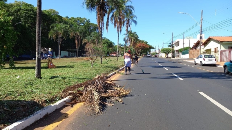 Atuando com duas frentes de trabalho nesta semana, a empresa prestadora do serviço de limpeza pública está trabalhando nas avenidas Minas Gerais e Teodolino Pereira de Araújo. Os serviços estão sendo acompanhados pela secretaria de Serviços Urbanos.