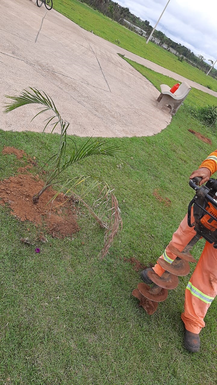 A secretaria de Meio Ambiente efetuou nesta sexta-feira (19), o plantio de 31 mudas de árvores na Praça Berveli Cunha Monteiro, no residencial Vila Olímpica, ao lado da Represa dos Paus.