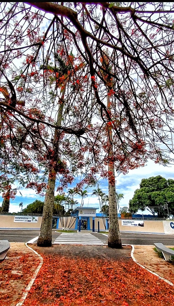 A secretaria de Obras encerrou nesta quinta-feira (28), todos os preparativos para o Dia de Finados. Os sete cemitérios do município, Bom Jesus e Park (perímetro urbano) nos Distritos de Amanhece e Piracaíba e nas Comunidades de Florestina, Campo Redondo e Santo Antônio estão prontos para visitações.