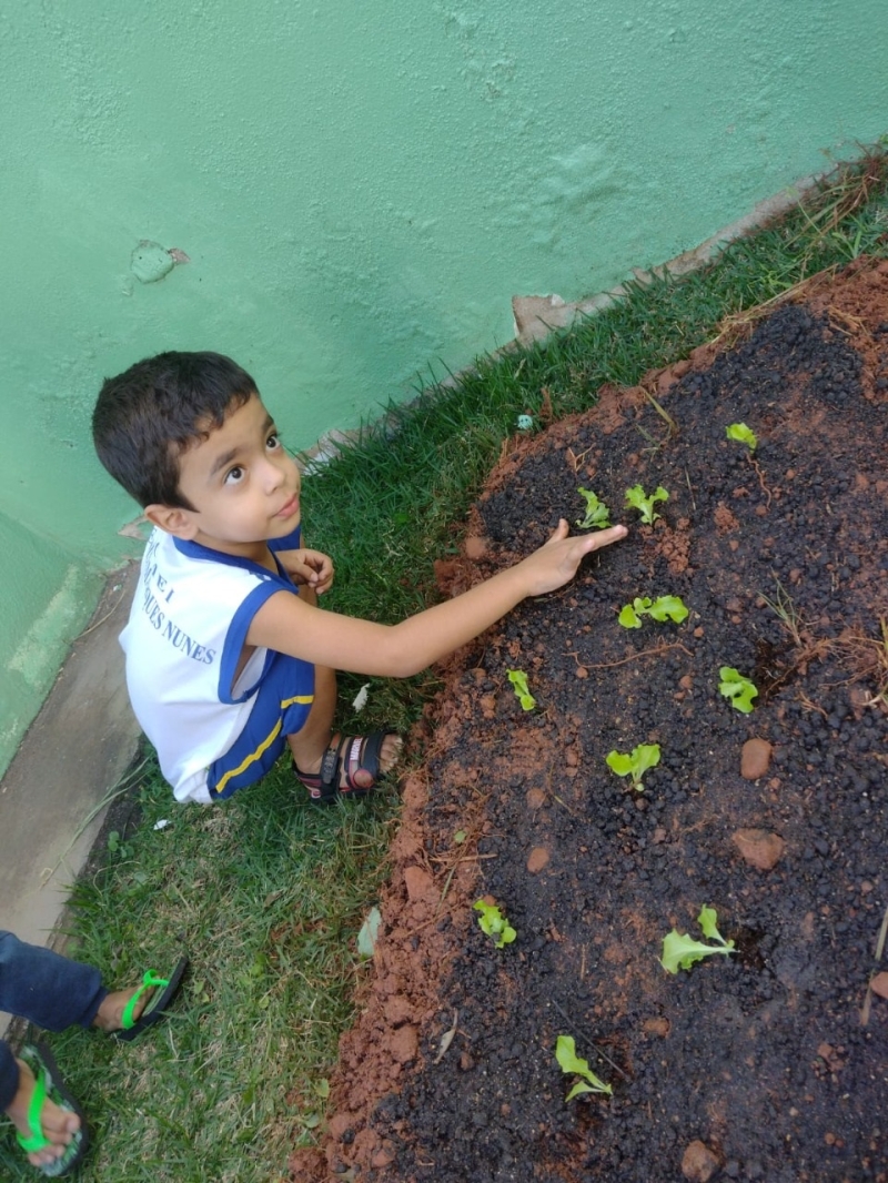 Os CMEIs Eloísa Marques Nunes e Wanda Pierucetti na tarde desta quarta-feira (27), a partir do recebimento do Kit Ecológico do Projeto “Adote o verde na Escola” do Departamento Gira Sol, já iniciaram a criação e manejo das hortas com os alunos.