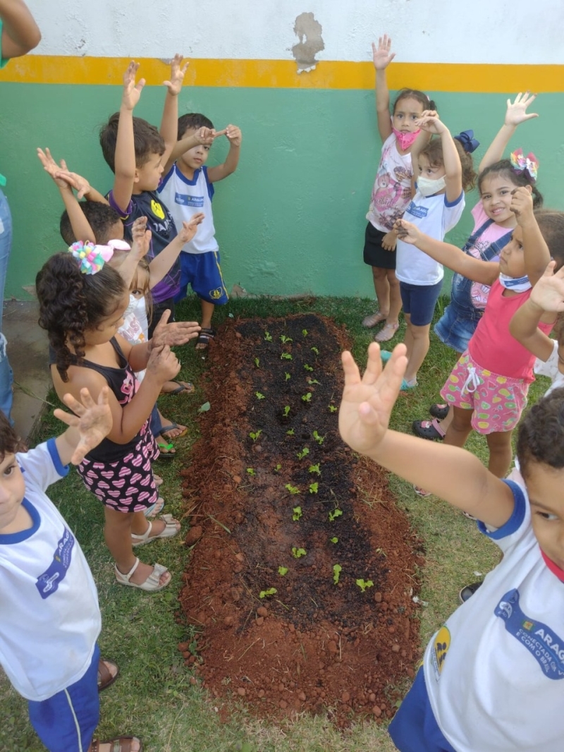Os CMEIs Eloísa Marques Nunes e Wanda Pierucetti na tarde desta quarta-feira (27), a partir do recebimento do Kit Ecológico do Projeto “Adote o verde na Escola” do Departamento Gira Sol, já iniciaram a criação e manejo das hortas com os alunos.