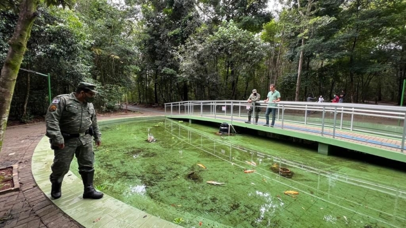 A polícia ambiental foi acionada pelos funcionários do Bosque John Kennedy e secretário de meio ambiente por volta de 8h, desta quarta-feira (2), em função da possibilidade de contaminação da água de um dos três lagos internos do local.