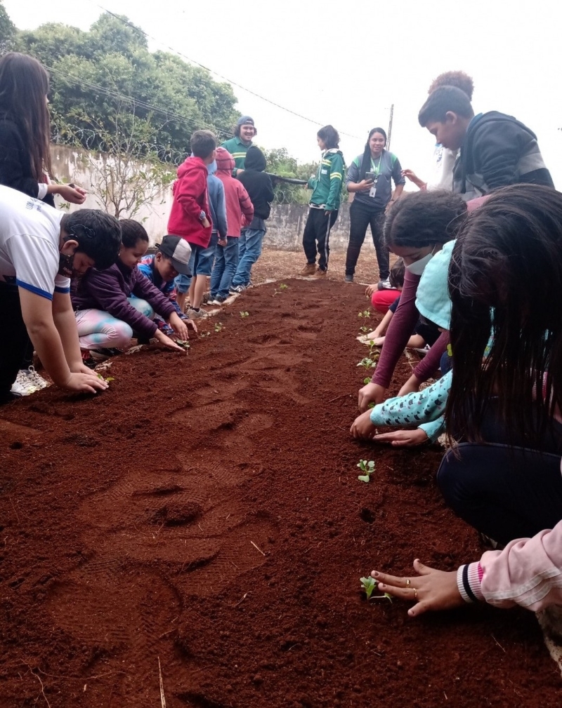 Nesta terça-feira (17), a Prefeitura de Araguari, através da Secretaria Municipal de Educação/ Programa de Educação Ambiental Gira Sol em parceria com a Empresa LD Celulose (em parceria com a empresa de consultoria Ekos Planejamento Ambiental), deu seguimento a montagem das hortas nas unidades escolares do município. Hoje foi a vez do CEM Ten. Cel. Vilagran Cabrita, com os alunos do 4º e 5º anos.  Relembrando que outras unidades escolares receberão a implantação desse projeto no decorrer dos próximos meses juntamente com a montagem das compoteiras. É a Prefeitura de Araguari, proporcionando experiências inesquecíveis para seus alunos, zelando pelo ambiente, reduzindo a produção de lixo orgânico e auxiliando na melhora da qualidade de vida da população e do planeta Terra!