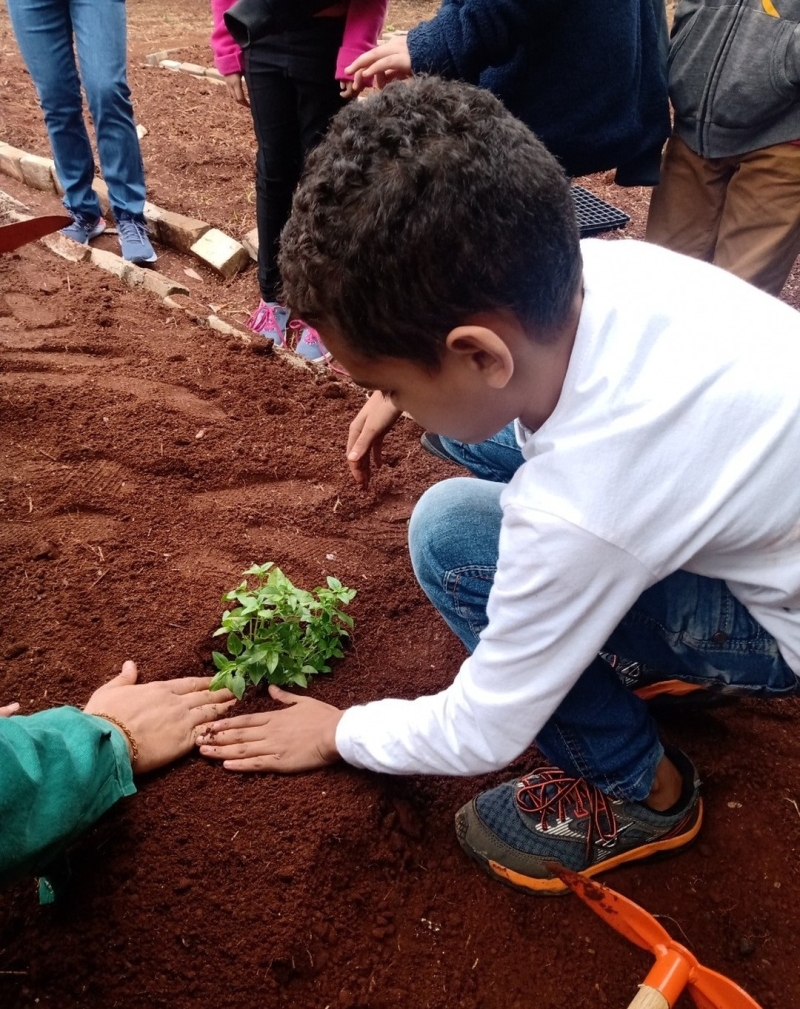 Nesta terça-feira (17), a Prefeitura de Araguari, através da Secretaria Municipal de Educação/ Programa de Educação Ambiental Gira Sol em parceria com a Empresa LD Celulose (em parceria com a empresa de consultoria Ekos Planejamento Ambiental), deu seguimento a montagem das hortas nas unidades escolares do município. Hoje foi a vez do CEM Ten. Cel. Vilagran Cabrita, com os alunos do 4º e 5º anos.  Relembrando que outras unidades escolares receberão a implantação desse projeto no decorrer dos próximos meses juntamente com a montagem das compoteiras. É a Prefeitura de Araguari, proporcionando experiências inesquecíveis para seus alunos, zelando pelo ambiente, reduzindo a produção de lixo orgânico e auxiliando na melhora da qualidade de vida da população e do planeta Terra!