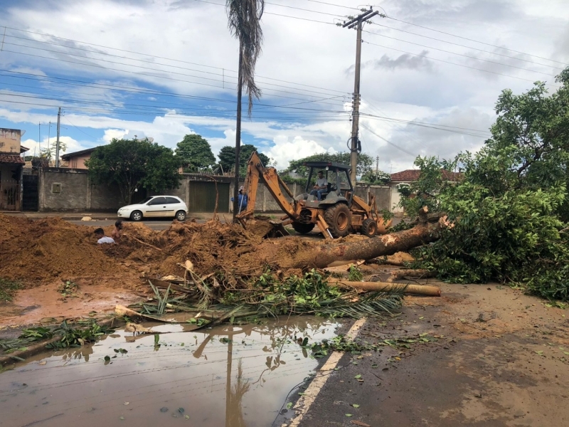 Há algumas semanas, a secretaria de Serviços Urbanos, está realizando a retirada de tocos de árvores que estão concentrados em canteiros de avenidas e outros logradouros públicos.