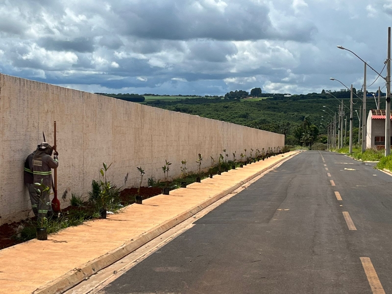 Meio Ambiente faz plantio de 90 árvores no Cemitério Park