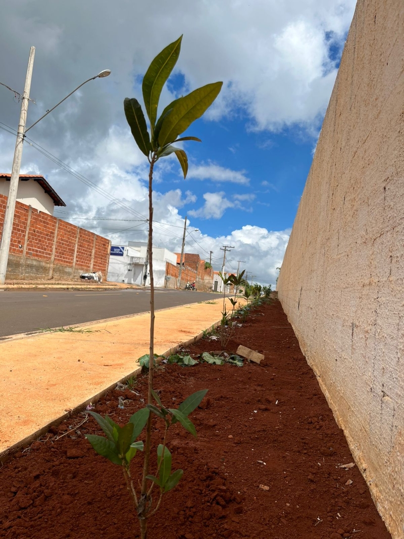 Meio Ambiente faz plantio de 90 árvores no Cemitério Park