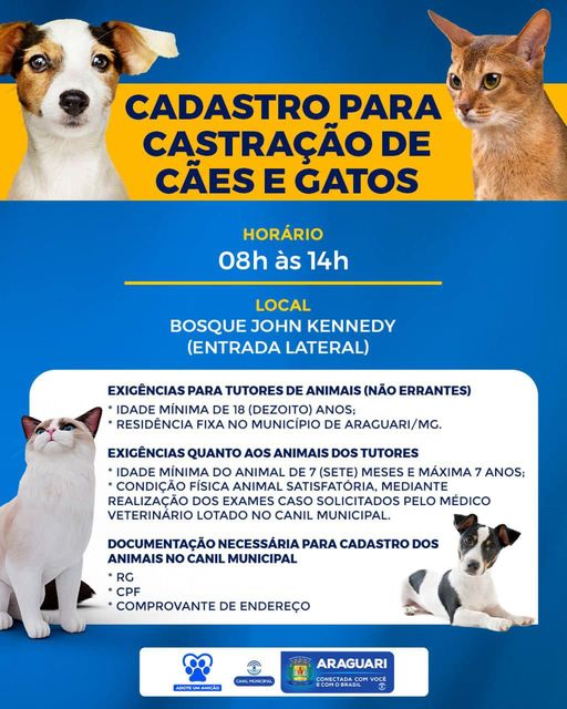 Prefeitura inicia cadastro para castração de cães e gatos nesta semana