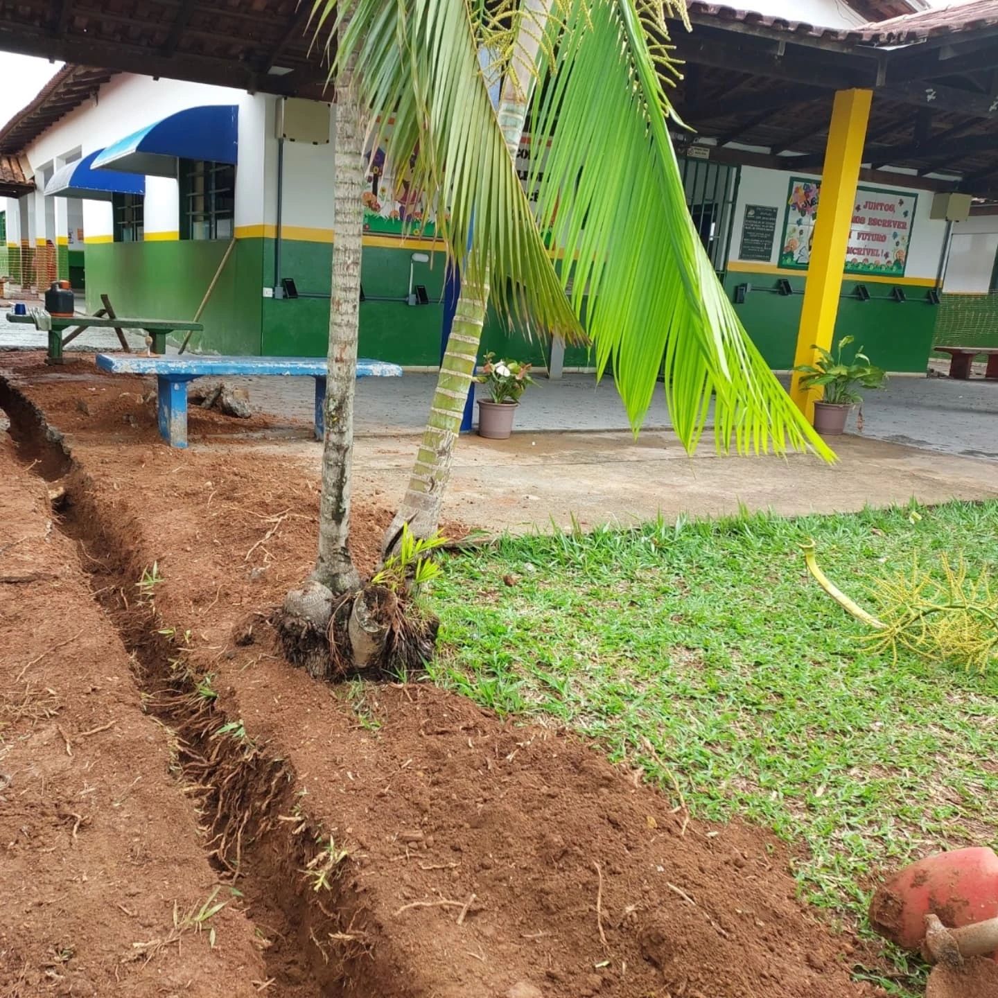 A prefeitura de Araguari, através da secretaria de Serviços Urbanos informa sobre os serviços que estão empenhados para serem realizados nesta semana, a partir desta segunda-feira, dia 24 até a sexta-feira, 28.