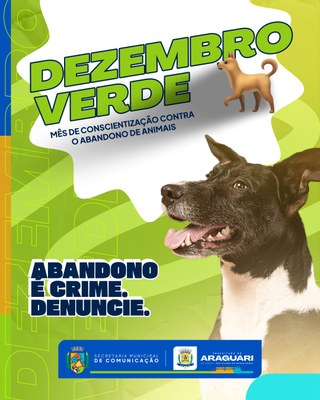 DEZEMBRO VERDE | ABANDONO É CRIME